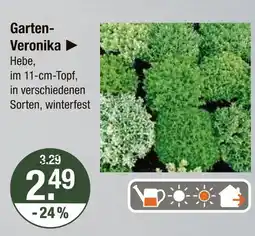 V Markt Garten-veronika Angebot