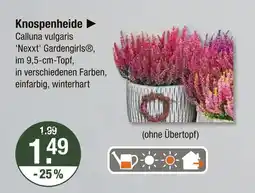 V Markt Knospenheide Angebot