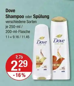 V Markt Dove shampoo Angebot