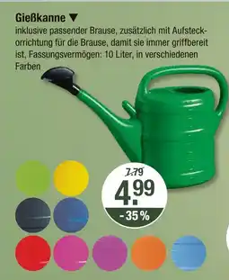 V Markt Gießkanne Angebot