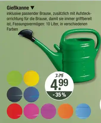 V Markt Gießkanne Angebot