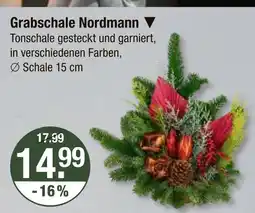 V Markt Grabschale nordmann Angebot