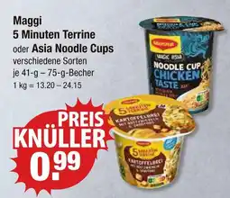 V Markt Maggi 5 minuten terrine Angebot