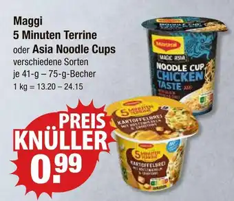 V Markt Maggi 5 minuten terrine Angebot