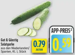 diska Gut & Günstig Salatgurke Angebot