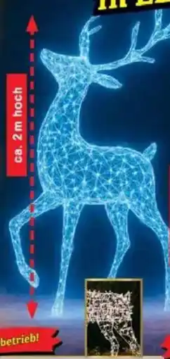 Jawoll LED-Metall-Rentier Angebot