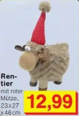 Jawoll Rentier Angebot