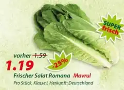 Hepsi-Markt Frischer Salat Romana Mavrul Angebot