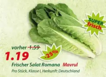 Hepsi-Markt Frischer Salat Romana Mavrul Angebot