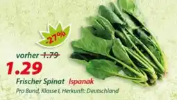 Hepsi-Markt Frischer Spinat Ispanak Angebot