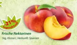 Hepsi-Markt Frische Nektarinen Angebot