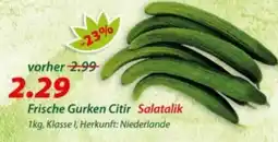 Hepsi-Markt Frische Gurken Citir Salatalik Angebot