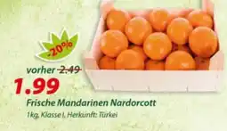 Hepsi-Markt Frische Mandarinen Nardorcott Angebot