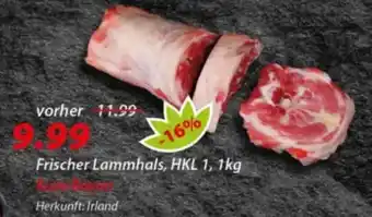 Hepsi-Markt Frischer Lammhals Angebot