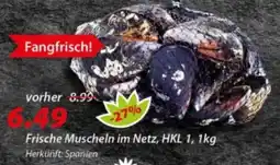 Hepsi-Markt Frische Muscheln im Netz Angebot