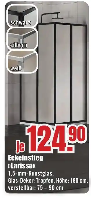 B1 Discount Baumarkt Eckeinstieg >>Larissa<< Angebot
