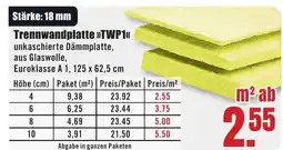 B1 Discount Baumarkt Trennwandplatte >>TWP1<< Angebot