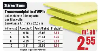 B1 Discount Baumarkt Trennwandplatte >>TWP1<< Angebot