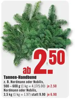 B1 Discount Baumarkt Tannen-Handbund Angebot