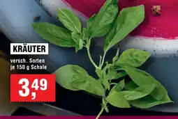 Handelshof KRÄUTER Angebot