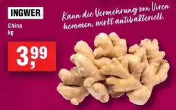 Handelshof INGWER Angebot