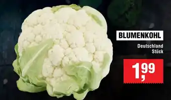 Handelshof BLUMENKOHL Angebot