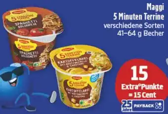 diska Maggi 5 Minuten Terrine Angebot