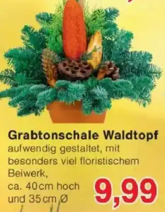 Jawoll Grabtonschale Waldtopf Angebot