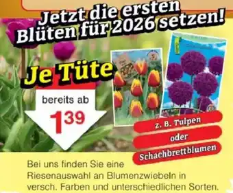 Jawoll Tüte Angebot