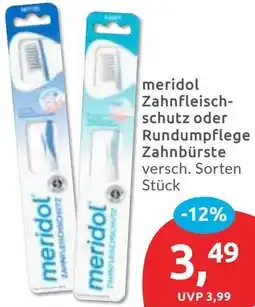 Budni meridol Zahnfleischschutz oder Rundumpflege Zahnbürste Angebot