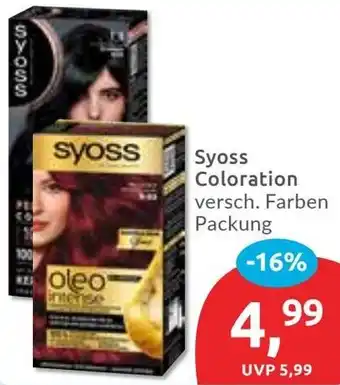 Budni Syoss Coloration Angebot