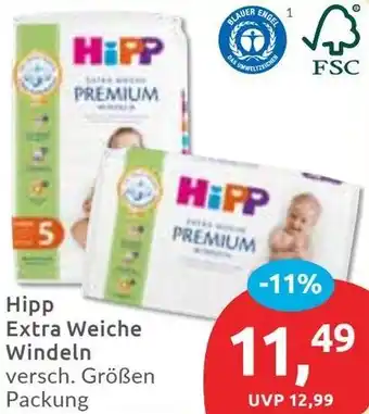 Budni Hipp Extra Weiche Windeln Angebot