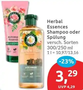 Budni Herbal Essences Shampoo oder Spülung Angebot