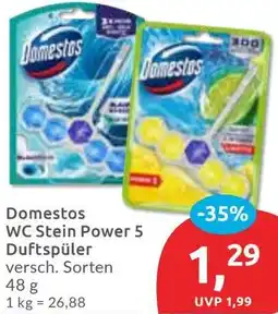 Budni Domestos WC Stein Power 5 Duftspüler Angebot