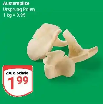 Globus Austernpilze Angebot