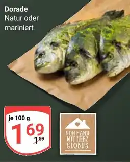 Globus Dorade Angebot