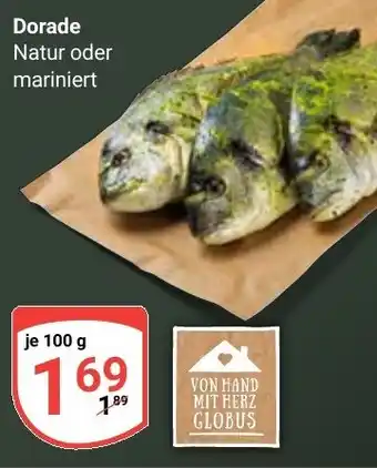 Globus Dorade Angebot