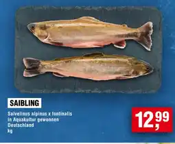 Handelshof SAIBLING Angebot