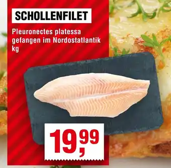 Handelshof SCHOLLENFILET Angebot