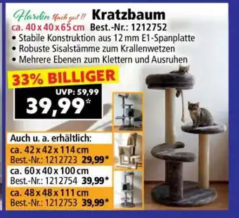 Norma Kratzbaum Angebot