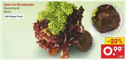 Netto Marken-Discount Salat mit Wurzelballen Angebot