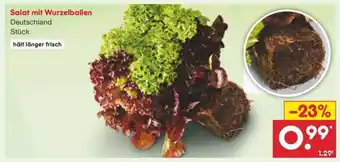 Netto Marken-Discount Salat mit Wurzelballen Angebot