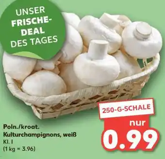 Kaufland Poln./ kroat. Kulturchampignons, weiß Angebot