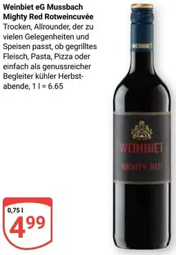 Globus Weinbiet eG Mussbach Mighty Red Rotweincuvée Angebot