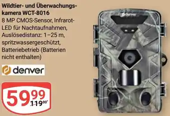Globus Denver Wildtier- und Überwachungskamera WCT-8016 Angebot