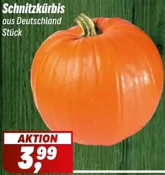 Simmel Schnitzkürbis Angebot