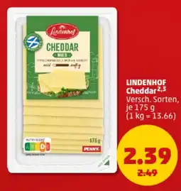 PENNY LINDENHOF Cheddar Angebot