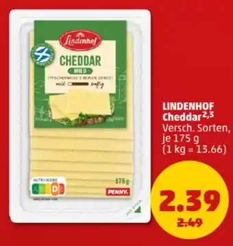 PENNY LINDENHOF Cheddar Angebot