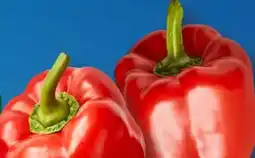 Aldi Süd Paprika Rot Angebot