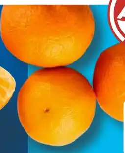 Aldi Süd Mandarinen Angebot